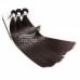Stema Straight Virgin Hair With 5x5 HD Lace Closure